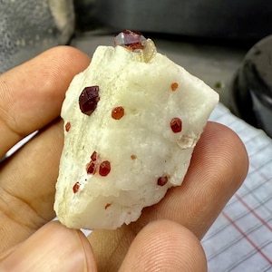 Garnet on Albite Matrix from Shigar Mine, Skardu | 45g Natural Red Garnet Cluster | Collector’s Gem Specimen | Raw Garnet Crystal