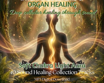 Innere Organe – Klangtherapie der Körpersysteme: Solfeggio-Frequenzen – Chakra-Heilmusik, Meditation & Stressabbau