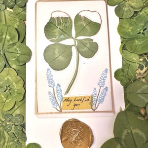May include: A framed pressed four-leaf clover with blue floral accents and the text "May Luck find you." A gold wax seal with an ornate design is at the bottom. The image is surrounded by green clovers.