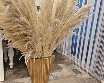 Hierba de la pampa alta natural para florero de suelo: tallos grandes y esponjosos de pampa beige de 43 a 101 cm / Decoración bohemia para el hogar, decoración neutra para sala de estar
