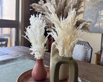 Ramo de 30 piezas de hierba de pampa natural, hierba pomposa corta y esponjosa para decoración de habitación bohemia, decoración neutra para mesa de centro, flores secas (17 pulgadas)