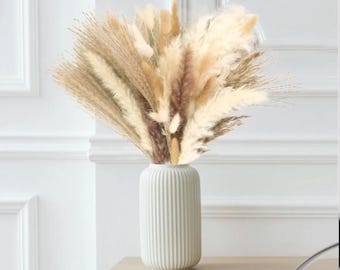Juego de 610 ramos de flores y hierba de pampa seca natural/centro de mesa bohemio para boda, decoración moderna para el hogar, arreglo de mesa rústico, guardería