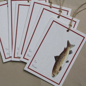 Three Torut On A Stringer Stock Photo - Download Image Now - Brown, fishing  stringer for trout 