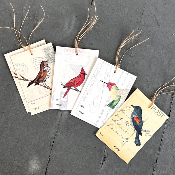 8 Gift Tags, Bird Assortment of Hummingbird, Red-Wing Blackbird, Cardinal, Thrush, Recycled Set of 8