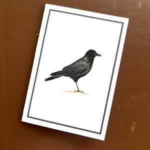 Black Crow Raven Notecards, Thank You Notes, Card Set, Set of 8, Boxed Set image 5