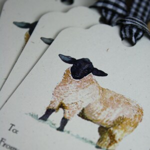 Sheep Gift Tags, Set of 6, on Cream Recycled Cardstock With Matching Black and White Gingham ...