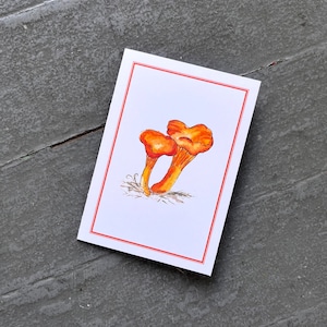 Set, Pfifferling Pilz Set von 8 Notecards, handgemachtes Briefpapier, Grußkarten, Set von 8