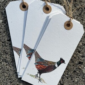 K&ouml;nnte beinhalten: Satz mit drei wei&szlig;en Geschenkanh&auml;ngern mit braunen Papier&ouml;sen und Schnur. Jeder Anh&auml;nger zeigt eine handgemalte Illustration eines Fasanen.