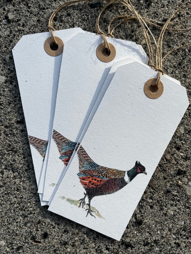 K&ouml;nnte beinhalten: Satz mit drei wei&szlig;en Geschenkanh&auml;ngern mit braunen Papier&ouml;sen und Schnur. Jeder Anh&auml;nger zeigt eine handgemalte Illustration eines Fasanen.