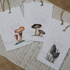 6 Etichette regalo funghi, Morel Porcini Finferli, Nature Tags, Acquerelli Set di 6, Autunno Autunno, Carte riciclate