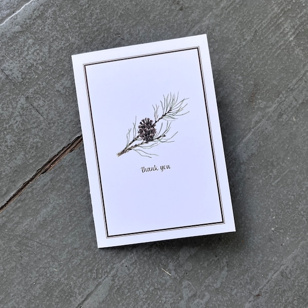 Pinecone Notecards, Evergreen Pine Bough Winter Thank You Notes, Card Set, Set of 8, Boxed Set. Pine Stationery.