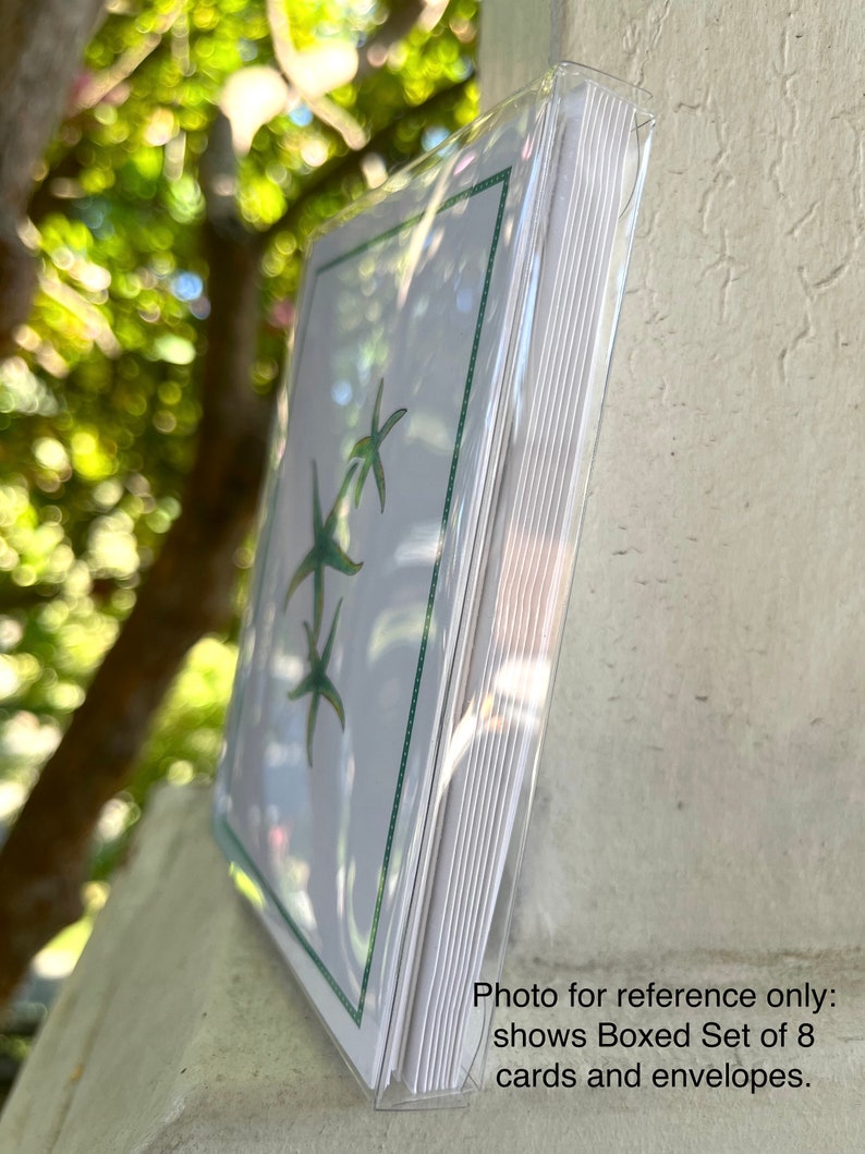 May include: A boxed set of eight blank greeting cards and envelopes featuring a green starfish design. The cards are packaged in a clear plastic sleeve.