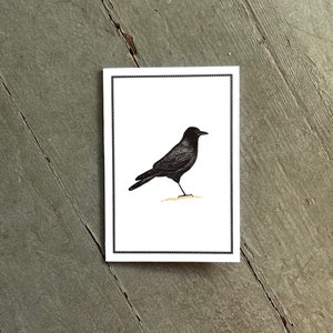 Black Crow Raven Notecards, Thank You Notes, Card Set, Set of 8, Boxed Set image 2