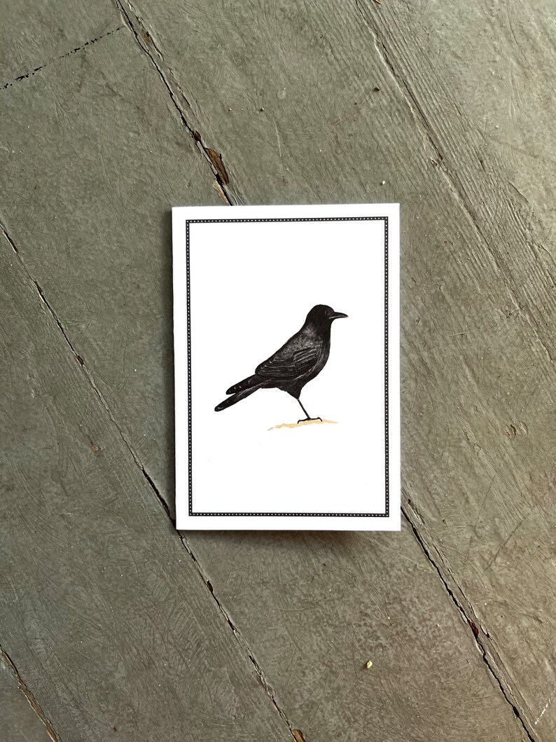 Black Crow Raven Notecards, Thank You Notes, Card Set, Set of 8, Boxed Set image 2