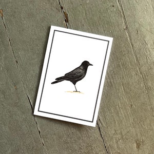 Black Crow Raven Notecards, Thank You Notes, Card Set, Set of 8, Boxed Set image 1