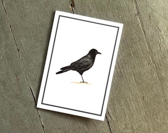 Black Crow Raven Notecards, Thank You Notes, Card Set, Set of 8, Boxed Set