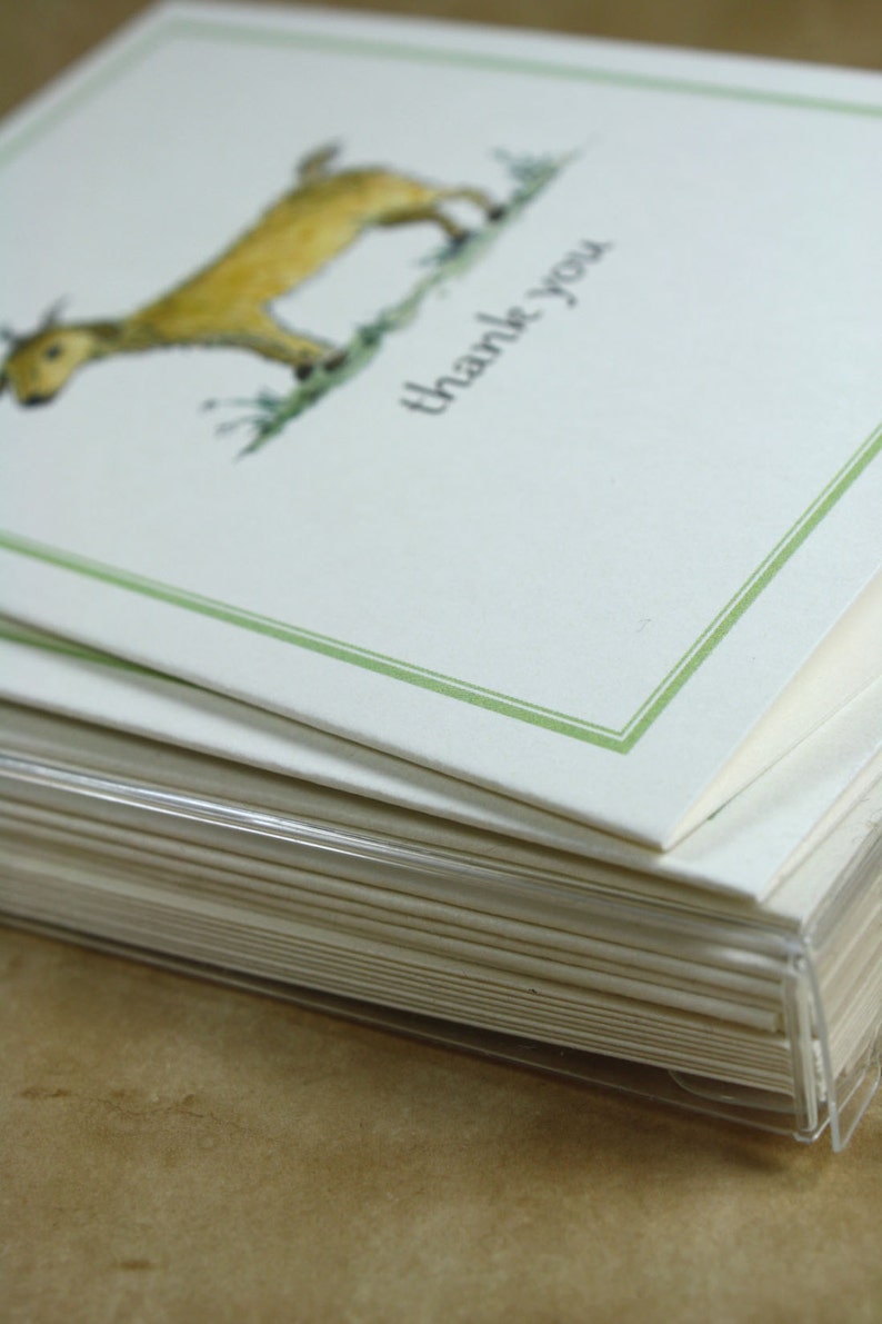 Goat Baby Goat Set of Notecards Thank You Notecards Set of | Etsy