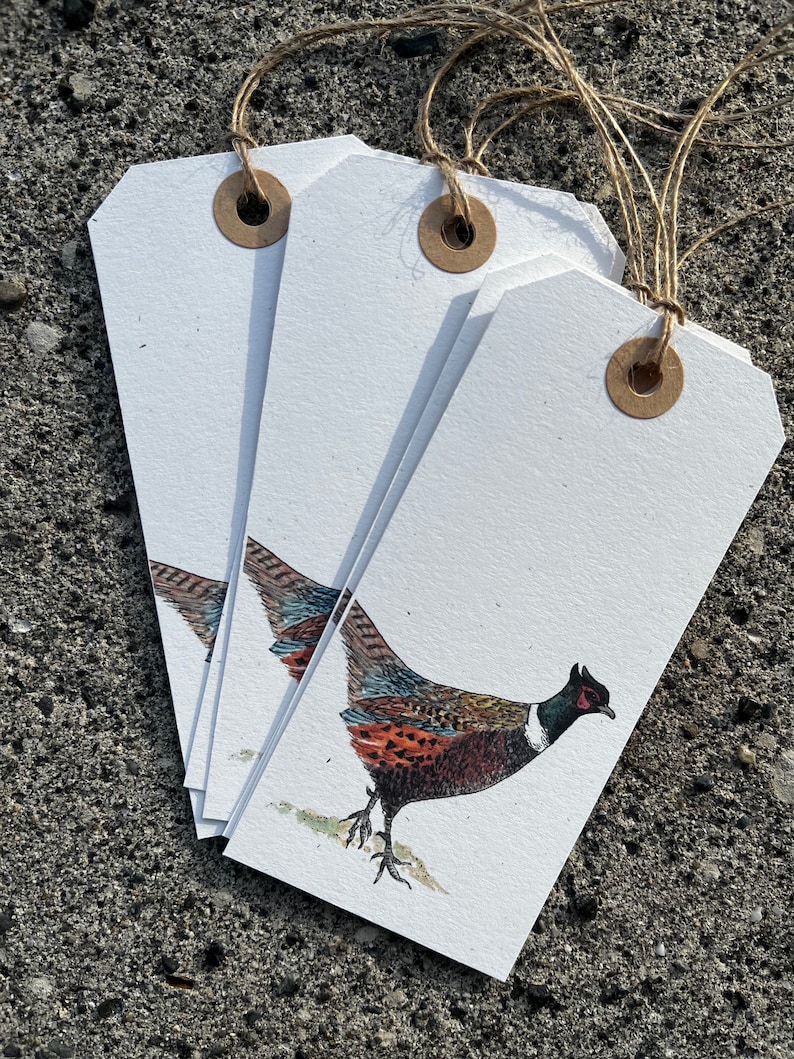 K&ouml;nnte beinhalten: Vier leere Geschenkanh&auml;nger mit braunem Papiergarn und einer Fasanenillustration. Die Anh&auml;nger sind aus Recyclingpapier und haben einen rustikalen Look.