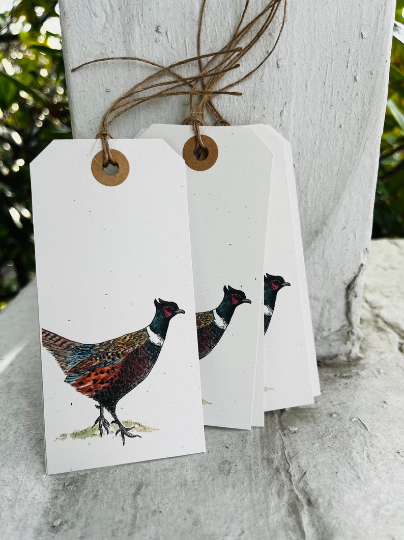 K&ouml;nnte beinhalten: Satz mit vier leeren Geschenkanh&auml;ngern mit einer Illustration eines braunen Fasanen. Die Anh&auml;nger sind aus wei&szlig;em Papier mit braunem Garn, das an jedem Anh&auml;nger befestigt ist.