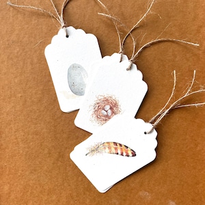6 etichette regalo per uova di uccello, nidi e piume. Etichette della serie Spring Nature, set di 6 acquerelli, carta riciclata. 2 di ciascuna immagine inclusa.