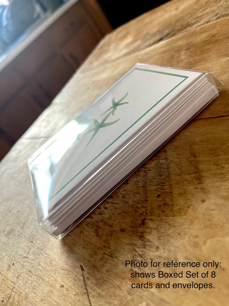May include: A boxed set of eight blank greeting cards with envelopes. The cards feature a green and white design with a starfish motif.