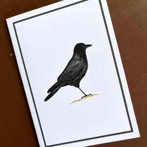 Black Crow Raven Notecards, Thank You Notes, Card Set, Set of 8, Boxed Set image 4