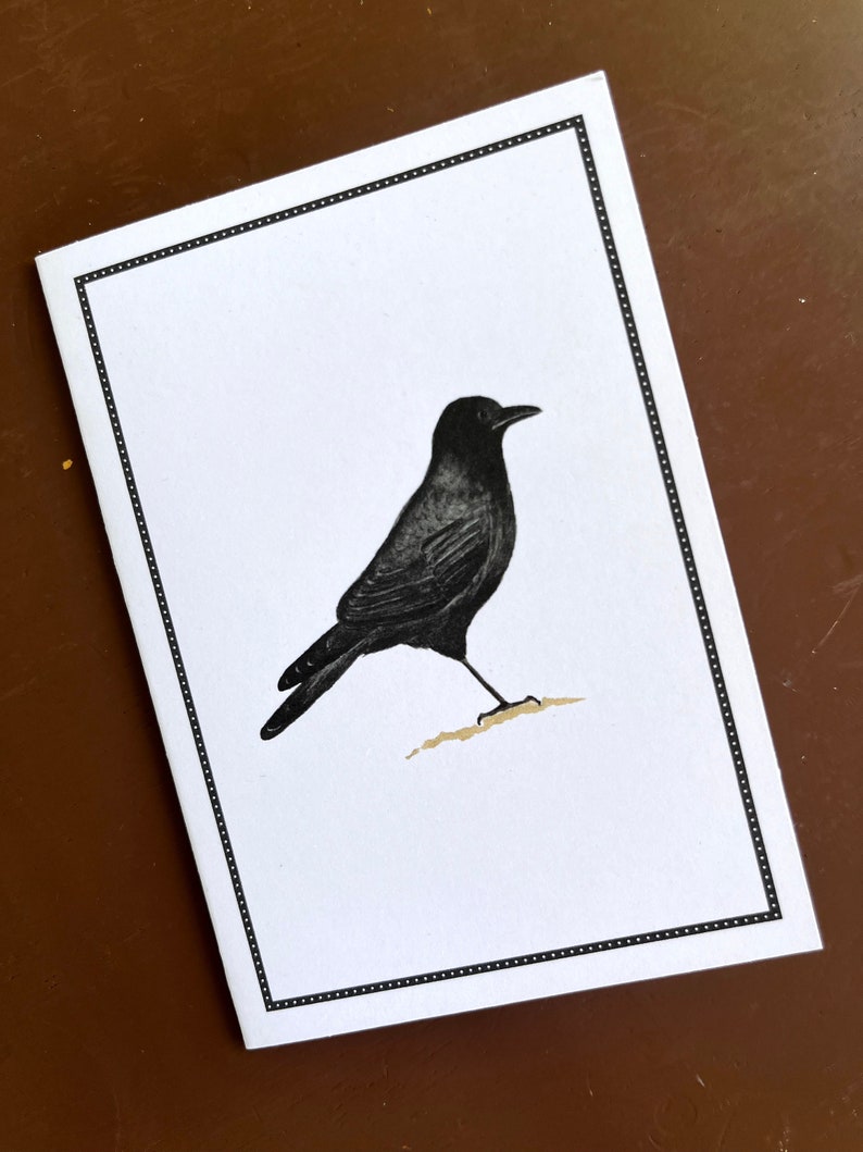 Black Crow Raven Notecards, Thank You Notes, Card Set, Set of 8, Boxed Set image 4