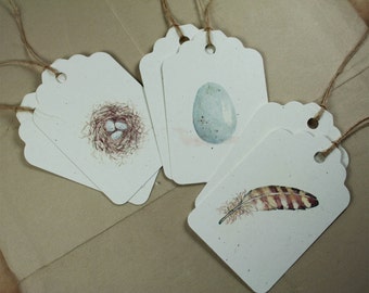 6 Spring Nature Series Tags, Watercolors Set of 6, Recycled Papers