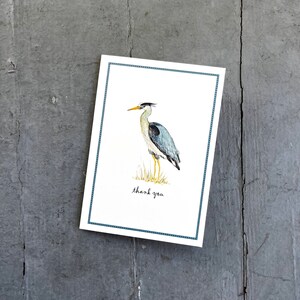 Notas de agradecimiento de Blue Heron, juego de 8 tarjetas de felicitación empaquetadas