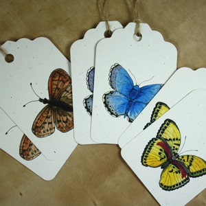 6 tag, serie di farfalle, farfalle acquerello colorate luminose, set di 6, carte riciclate