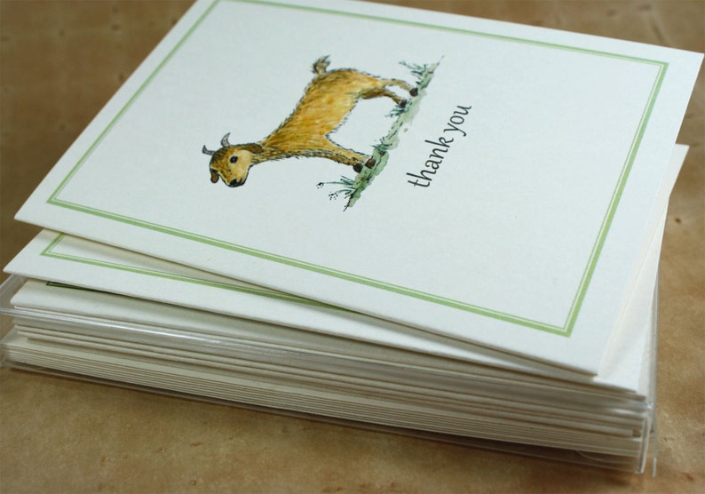 Goat Baby Goat Set of Notecards Thank You Notecards Set of | Etsy