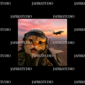 Peut inclure: Œuvre d'art numérique représentant un chat portant un casque de pilote et une combinaison de vol, la bouche ouverte, devant un avion à réaction. Le fond montre un coucher de soleil aux teintes orangées et roses. Le texte "JAFRKSTUDIO" est répété.