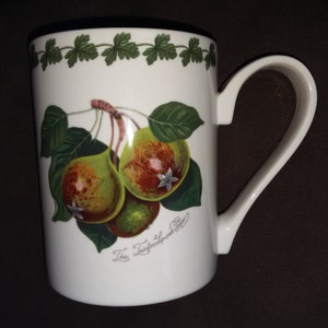 Vintage Portmeirion Porcelain Cup / Mug,  Fine Bone China, Susan Williams-Ellis, Pomona