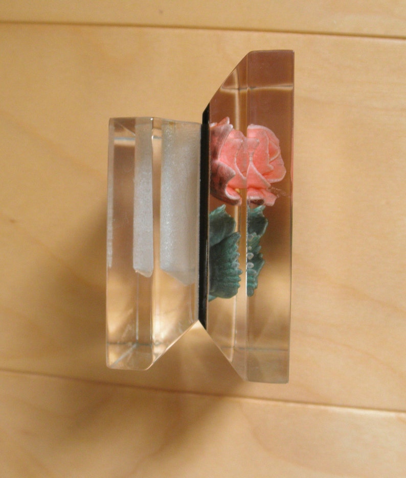 encased rose encased rose