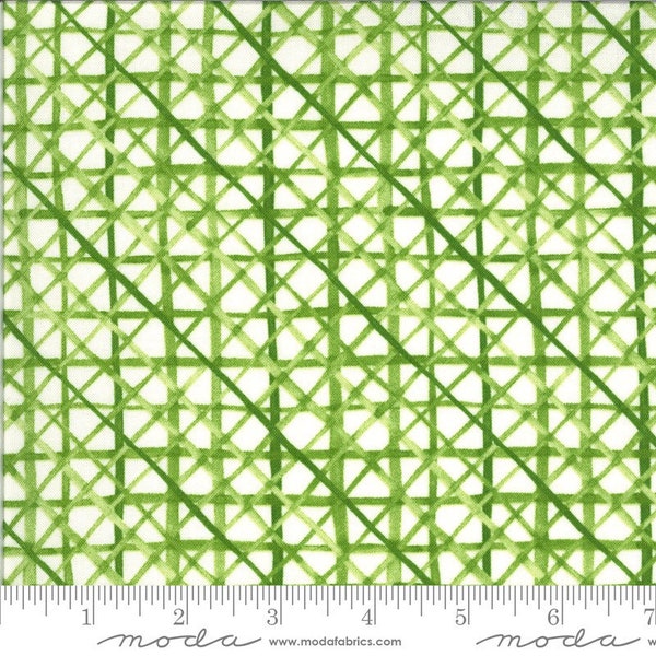 1/2 yard Solana Criss cross by Robin Pickens  - Moda