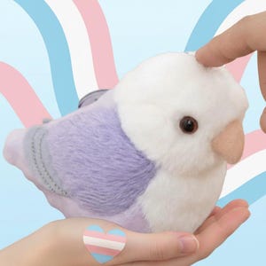 May include: A soft toy bird with a white head and chest, and lavender wings and back. The bird has a tan beak and brown eyes. The bird is being held in a person's hands. A transgender pride heart sticker is visible on the person's hand.