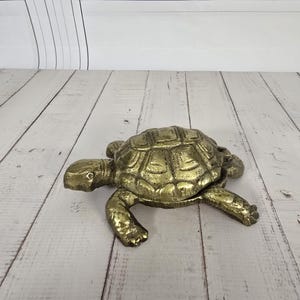 May include: A golden-colored turtle figurine with detailed shell and limbs. The turtle is positioned on a light-colored wooden surface, showcasing its textured design. This decorative item adds a touch of nature-inspired charm.