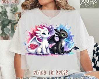 Toothless And Light Fury Watercolor Heat Press Transfer, How To Train Yor Dragon Ready To Press DTF, Universal Studios DTF Transfer,