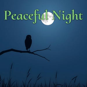 Könnte beinhalten: Eine Silhouette einer Eule, die auf einem Ast sitzt, vor einem dunkelblauen Himmel mit Vollmond. Der Text "Peaceful Night" ist in grünen Buchstaben über dem Mond geschrieben.