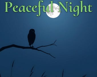 May include: A silhouette of an owl perched on a branch against a dark blue sky with a full moon. The text "Peaceful Night" is written in green letters above the moon.