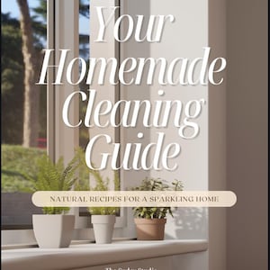 May include: A white text graphic on a light brown background with the text "Your Homemade Cleaning Guide" and "NATURAL RECIPES FOR A SPARKLING HOME". Below the text is a window sill with three potted plants. The text at the bottom of the image reads "The Sudsy Studio" and "thesudsystudio.etsy.com".