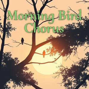 May include: Silhouette of two birds perched on branches of a tree against a sunrise backdrop. The text "Morning Bird Chorus" is written in green letters across the top of the image.