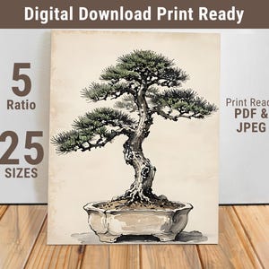 Vintage Bonsai Tree Wall Art - Japanese Zen Tree Illustration Print - Watercolor Botanical Plant Poster - Digital Download - 390-FDS