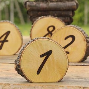 May include: Wooden table number signs with numbers 1 through 10,  burned into the wood. The signs are round and have a natural wood finish. The signs are arranged on a wooden table.