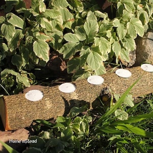 Teelicht-Kerzenholzhalter, Große 6-Kerze Rustikales Holz
