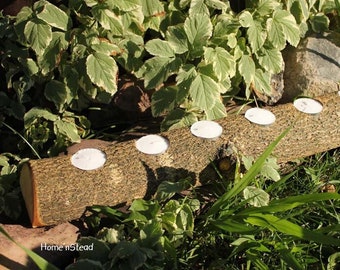 Tealight Candle Log Holder, Large 6-Candle Rustic Wood