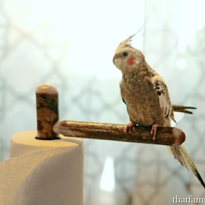 The Poopy Perch Paper Towel Holder and Pet Bird Trainer, Parrot Perch Toy Kitchen Organizer, Made from Natural Wood image 9