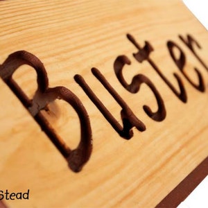 Customize Your Sign Engraved Wood Name, Pet Animal Stall Name Signs Wood Dog House Plaque image 3