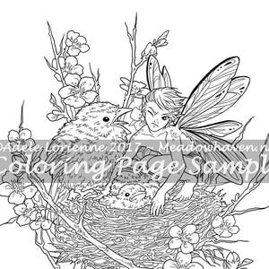 A Meadowhaven Fantasy Coloring Page Download: "Get Your Own Chick"