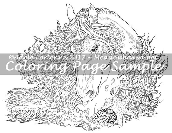 12 Mythographic/animals ideas  coloring books, adult coloring inspiration, adult  coloring